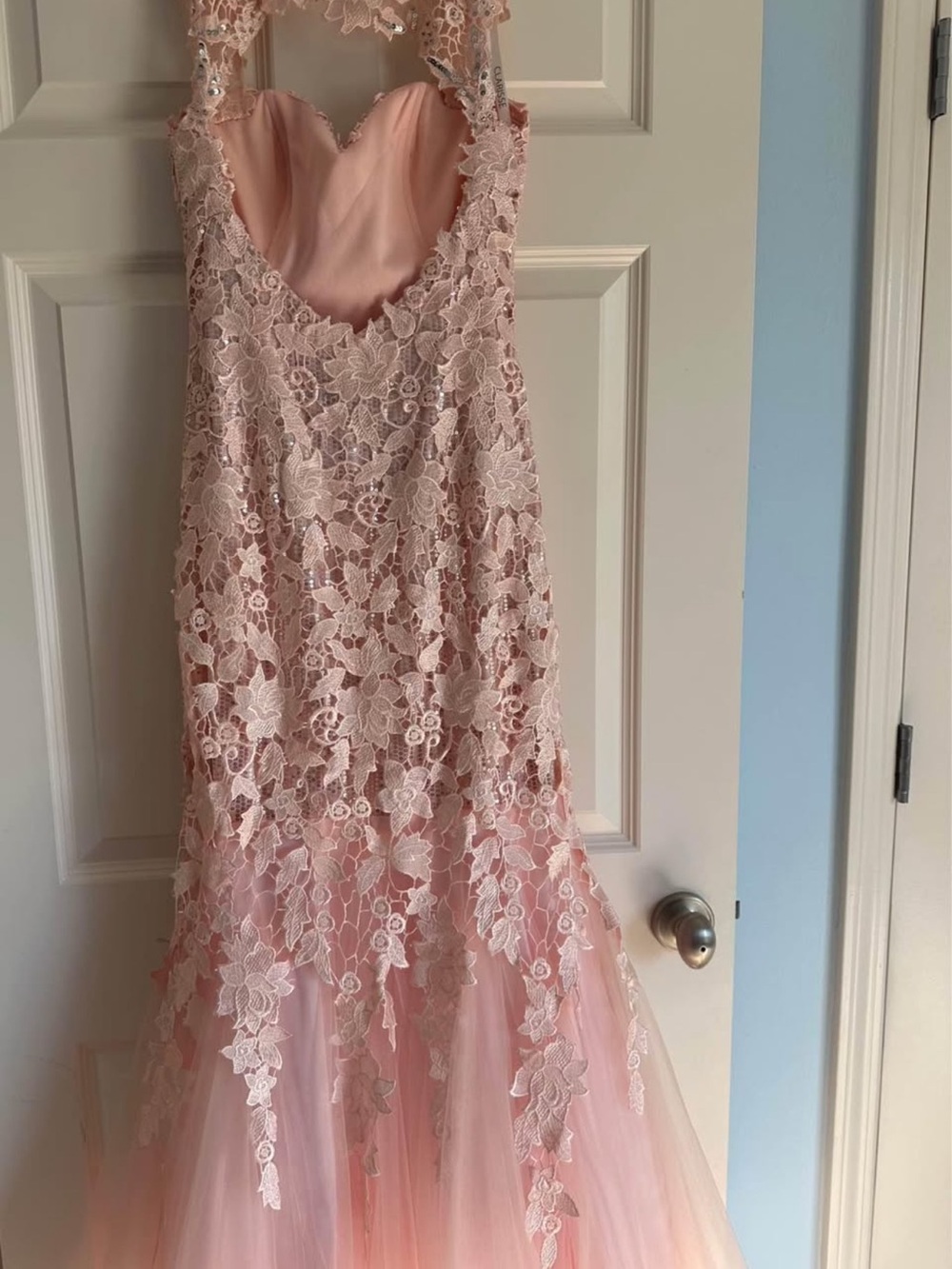 Clarisse Blush Pink Lace Appliqué Prom Gown